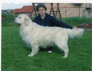 Aleksi Scandinávia Finland